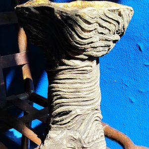«FLORERO»